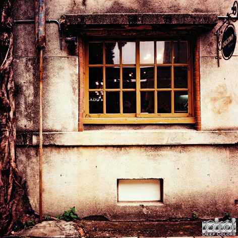 「WINDOW」〜台湾／台北〜 by LUBITEL166+_f0013652_2348671.jpg