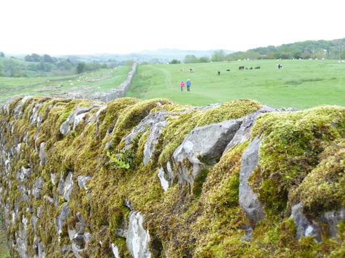 f0056261_22403588.jpg