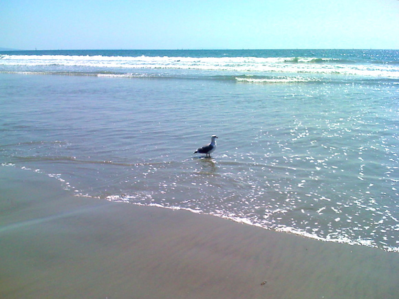 c0121264_1541595.jpg