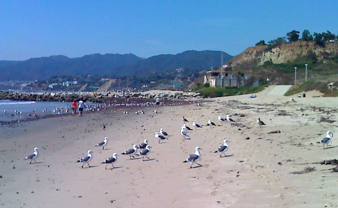 c0121264_1546842.jpg