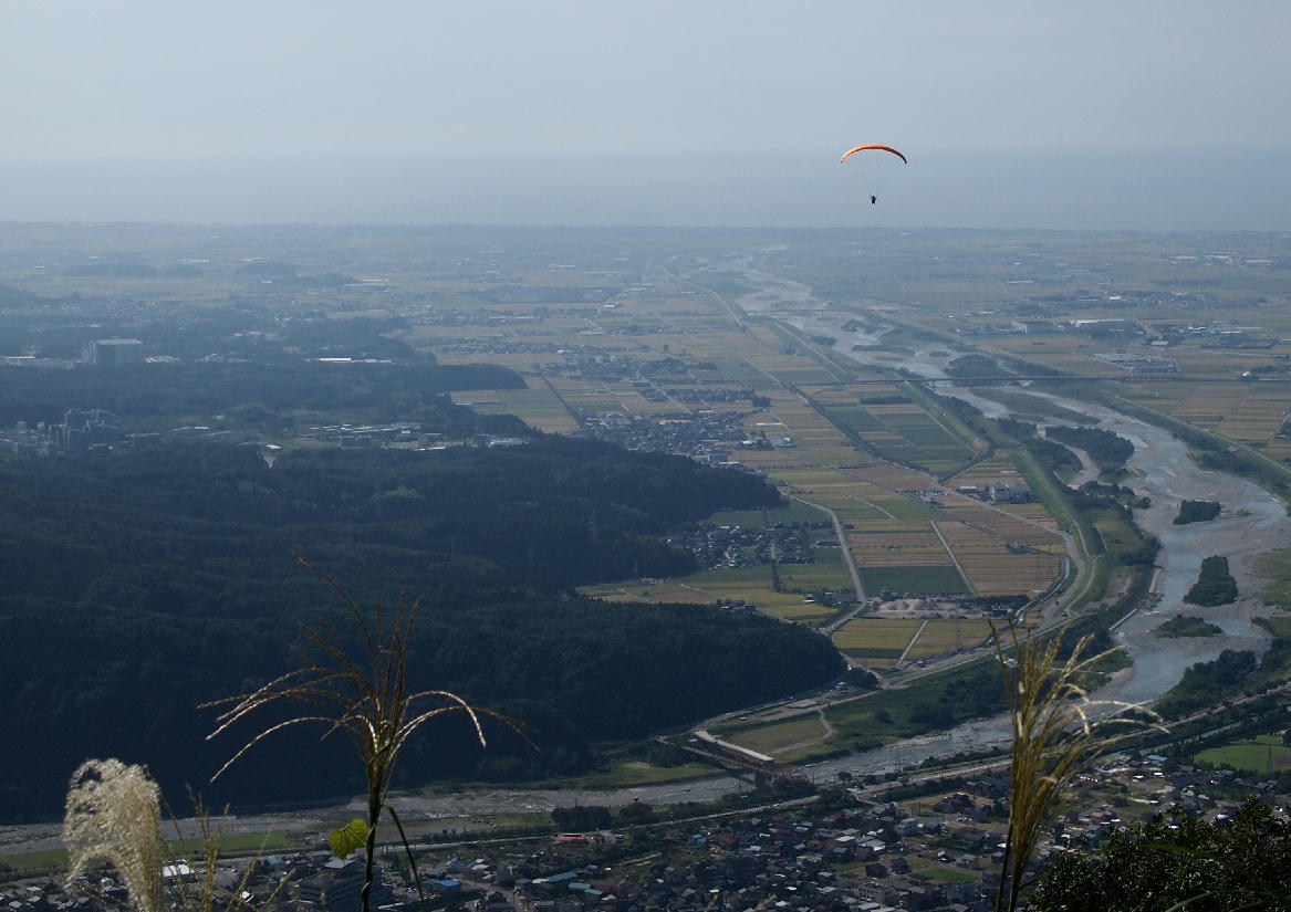d0216270_20202017.jpg