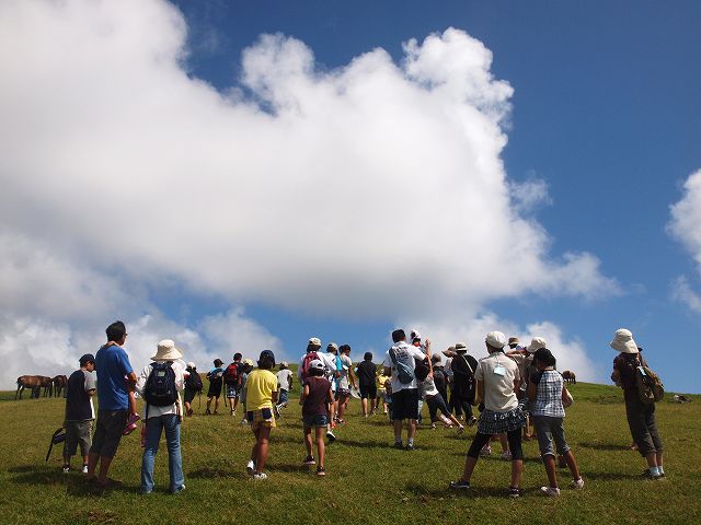 b0135573_23511548.jpg