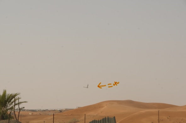 e0066474_133387.jpg