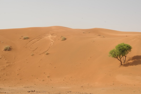 e0066474_765917.jpg