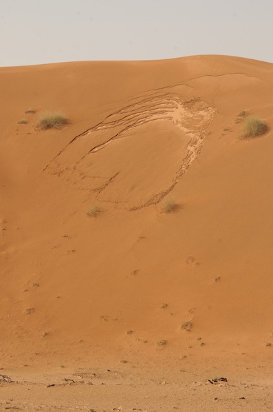 e0066474_772286.jpg