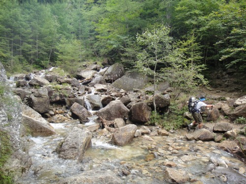 岩峰の瑞牆山（山梨県北杜市）_d0182075_41884.jpg