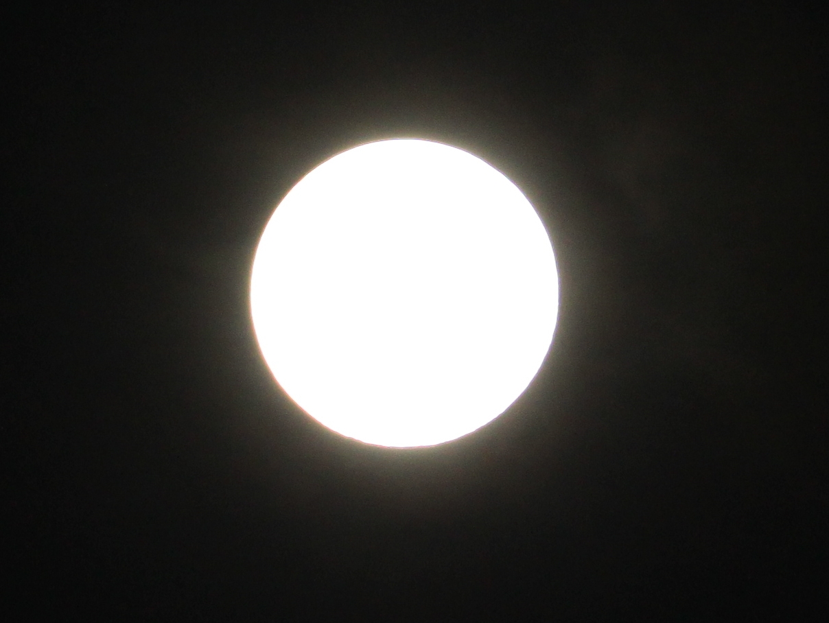 f0136675_2325960.jpg