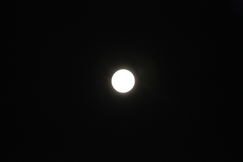 f0136675_23283481.jpg