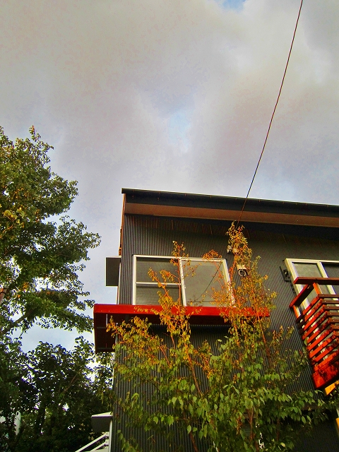 d0078178_88018.jpg