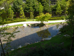 b0019591_15564669.jpg