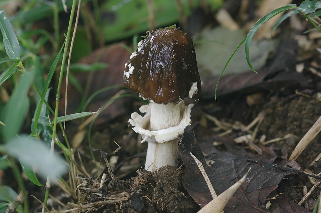 e0070891_18373795.jpg