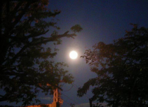 ●ムーンゴッタ・2011年9月_d0053294_23305696.jpg