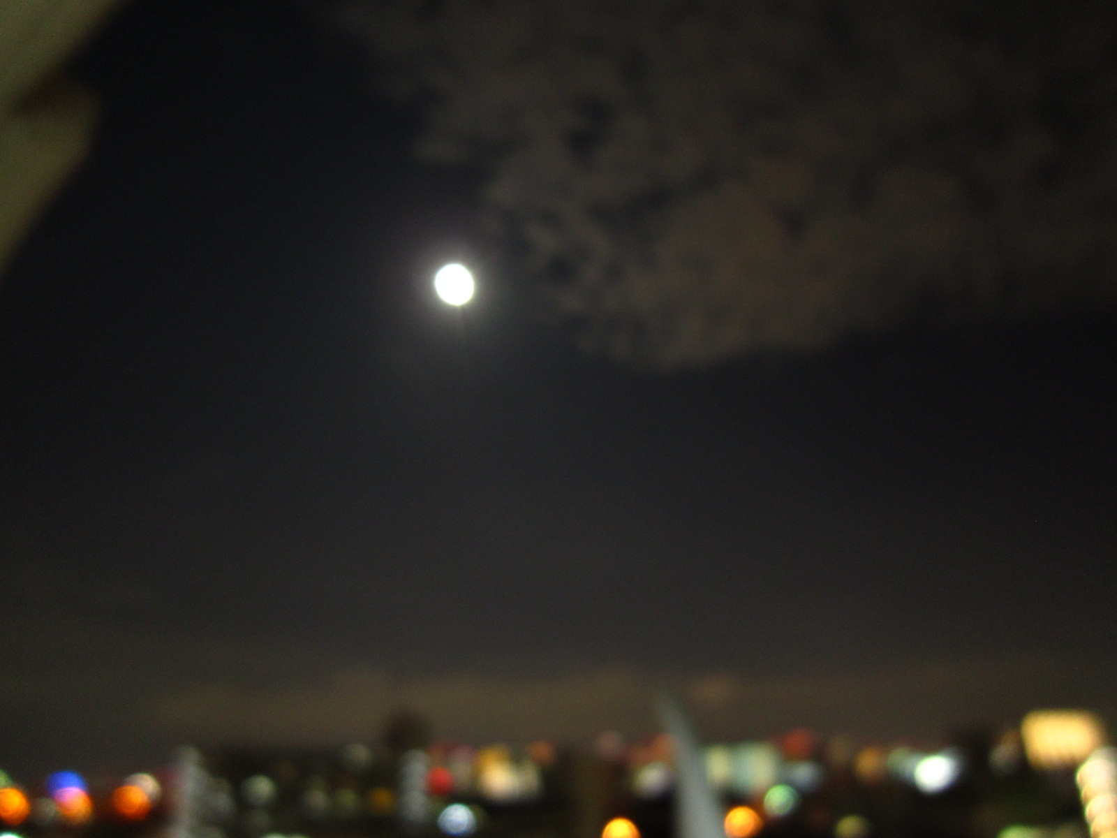 お月見_f0204295_20523955.jpg