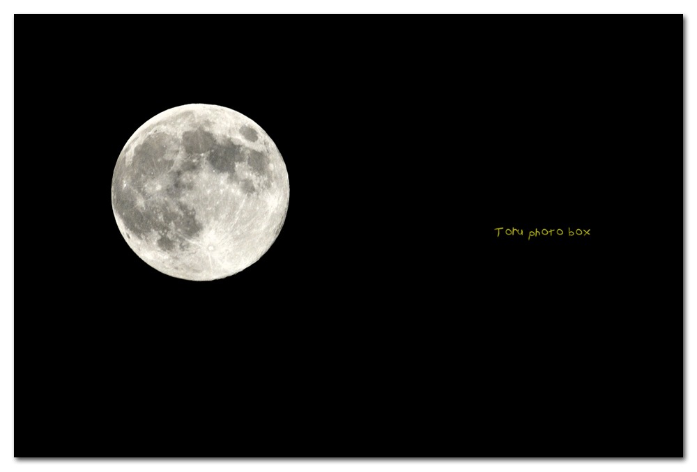 The harvest moon_a0157696_20282535.jpg