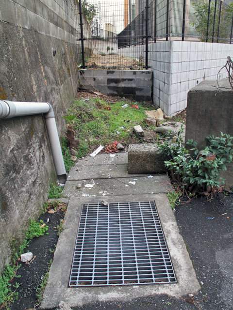 c0163001_2313672.jpg