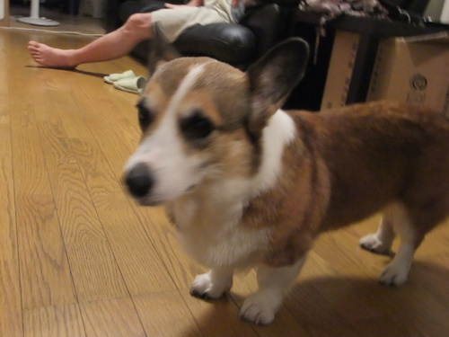 f0101201_21205699.jpg