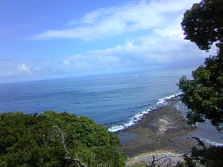 a0224502_1447354.jpg