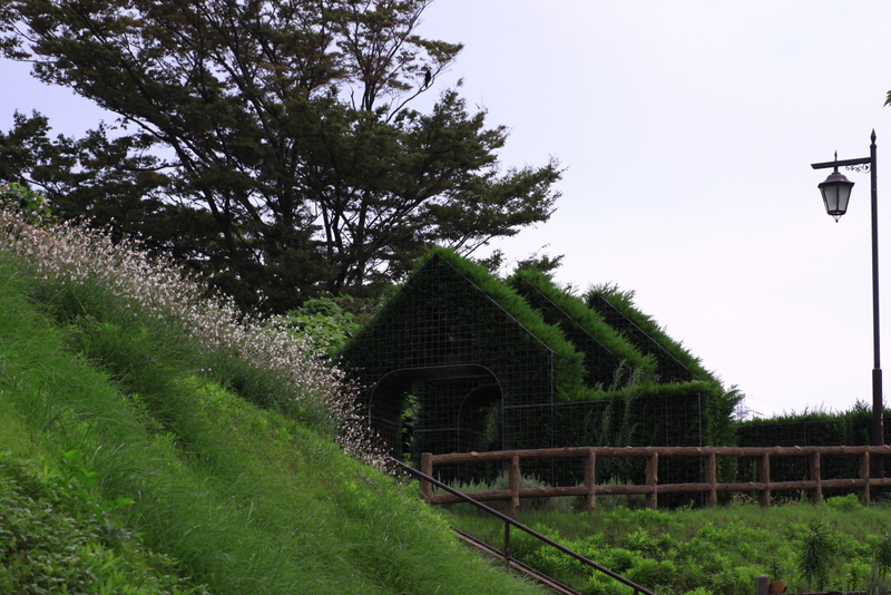 d0248502_15689.jpg
