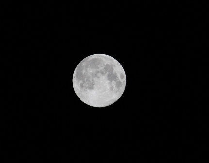 b0218806_21433498.jpg