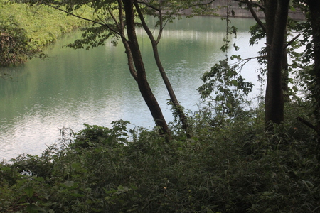 f0186509_21335896.jpg