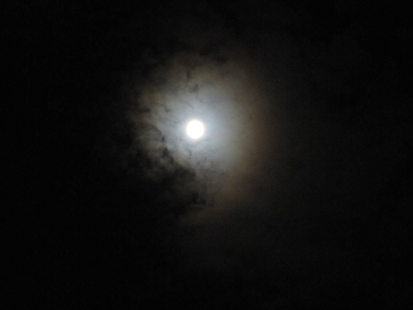 b0174913_6284610.jpg