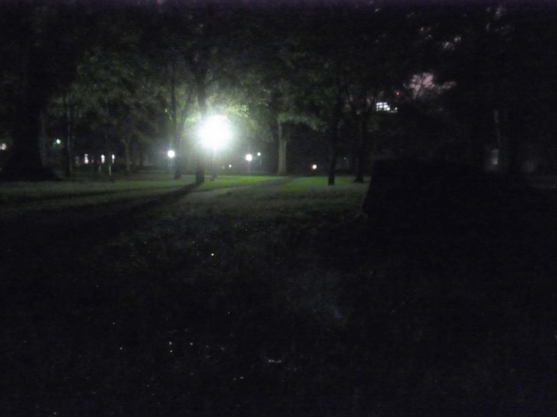 夜と朝_c0025115_19308.jpg