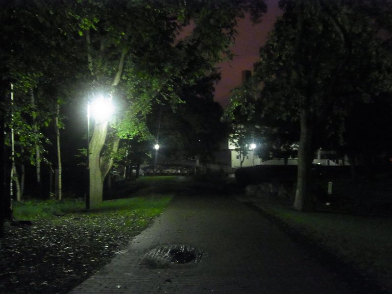 夜と朝_c0025115_193227.jpg