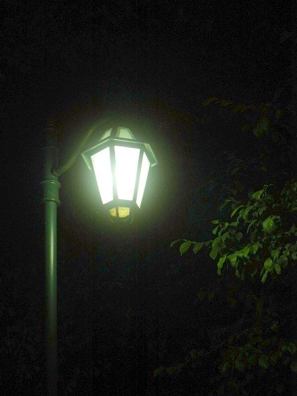 夜と朝_c0025115_193548.jpg