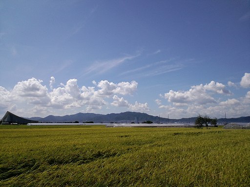 e0071819_1427195.jpg