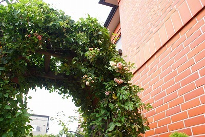 f0170524_16441170.jpg