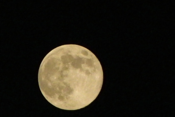c0210728_01879.jpg