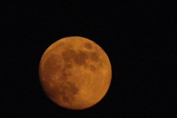c0210728_06315.jpg