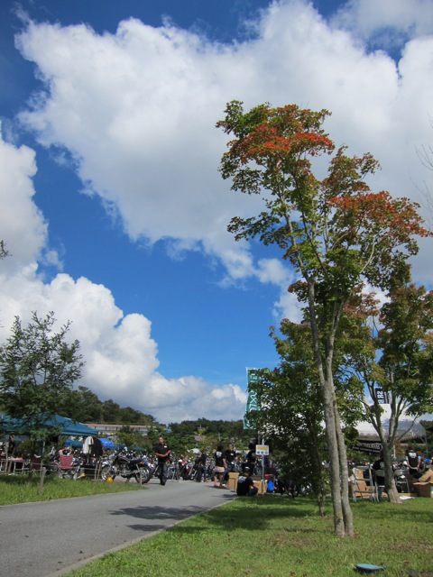 f0217828_859235.jpg