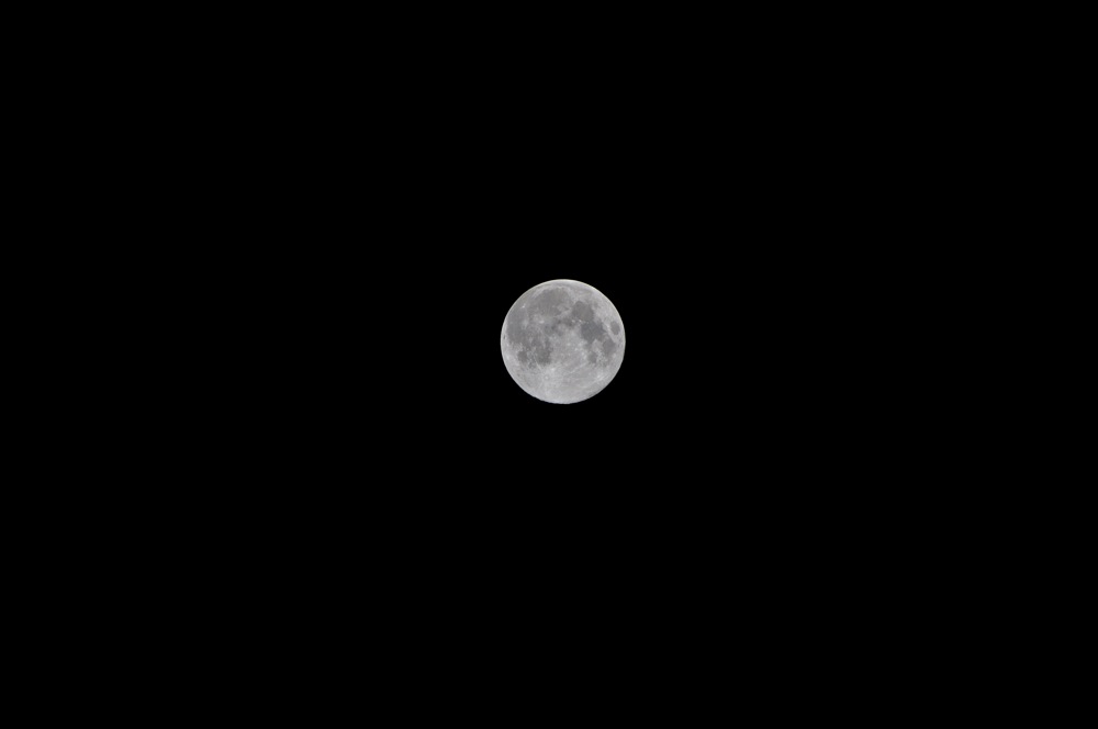 b0065730_221450.jpg