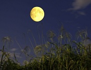良夜(十五夜の月）など明るい月夜_a0206332_814939.jpg