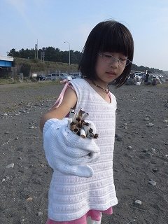 c0153732_0204235.jpg