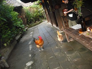 お風呂リビング。_f0162932_10585371.jpg
