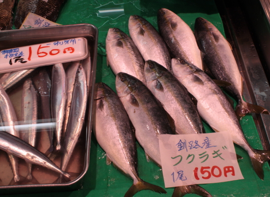 魚の街 くしろ 9月13日_f0113639_19114878.jpg
