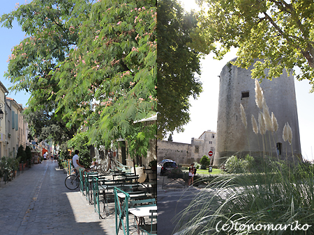 「Aigues-Mortes」 南仏プロヴァンス旅行_c0024345_19234470.jpg
