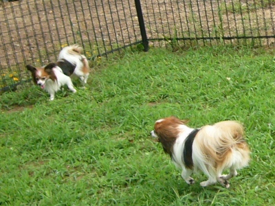 e0100046_214838100.jpg