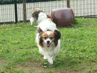 e0100046_21513959.jpg
