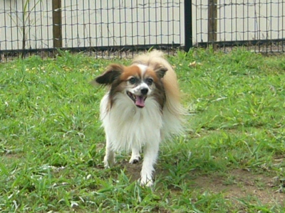 e0100046_21515213.jpg