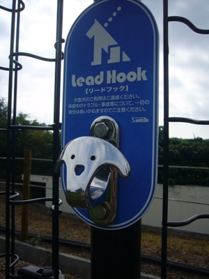 e0100046_2151834.jpg