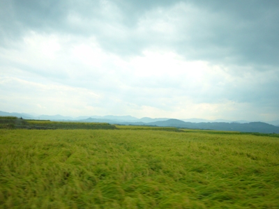 e0100046_22205393.jpg