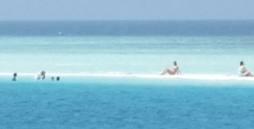 f0190653_1331871.gif