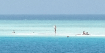 f0190653_1332597.gif