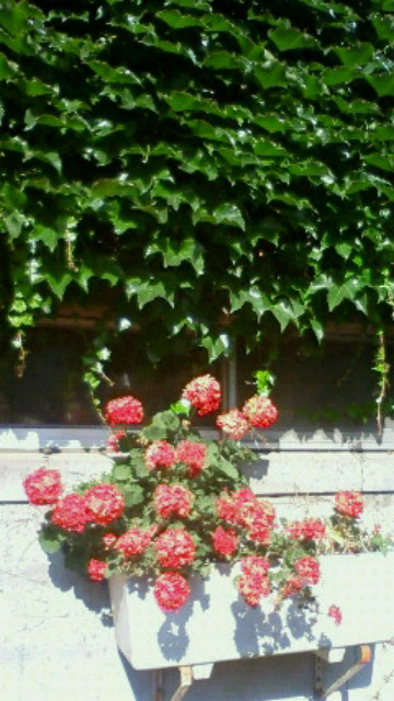 f0208355_892714.jpg