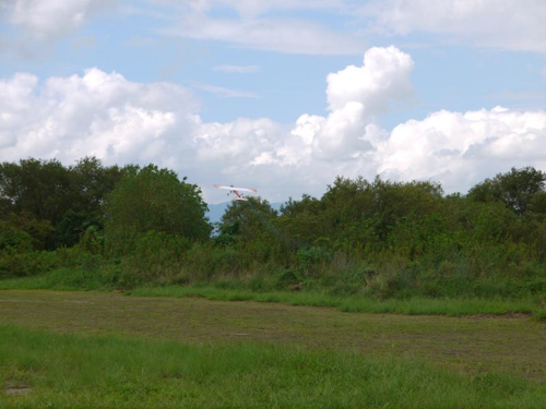 d0166960_2153236.png