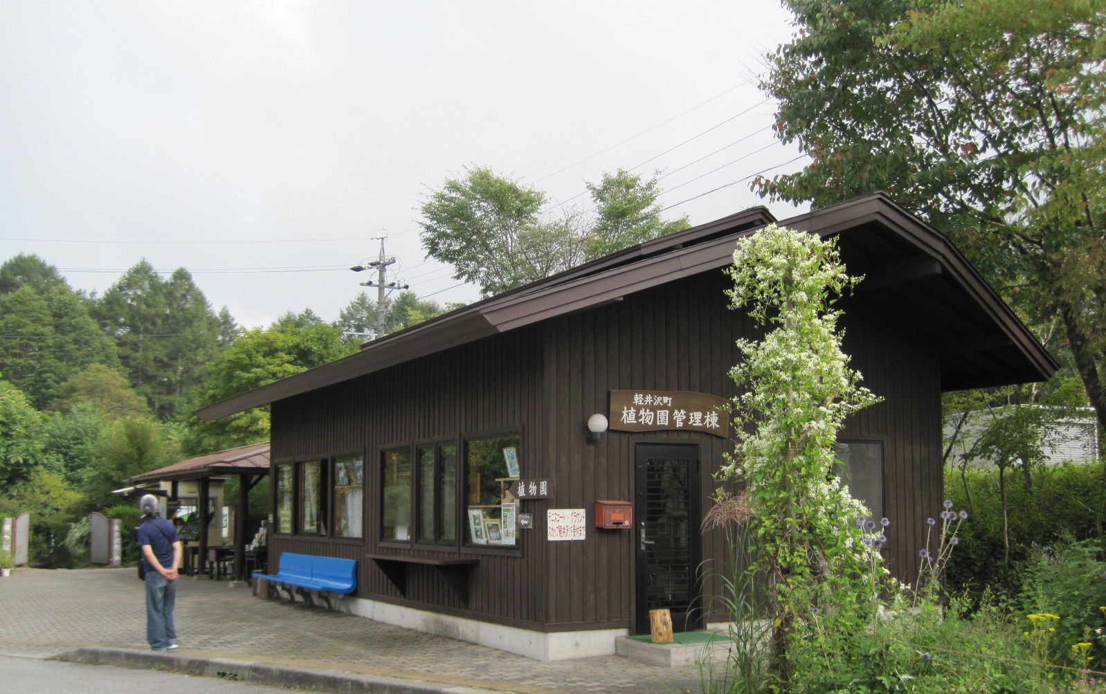 秋の気配～軽井沢町植物園_f0236260_1624326.jpg