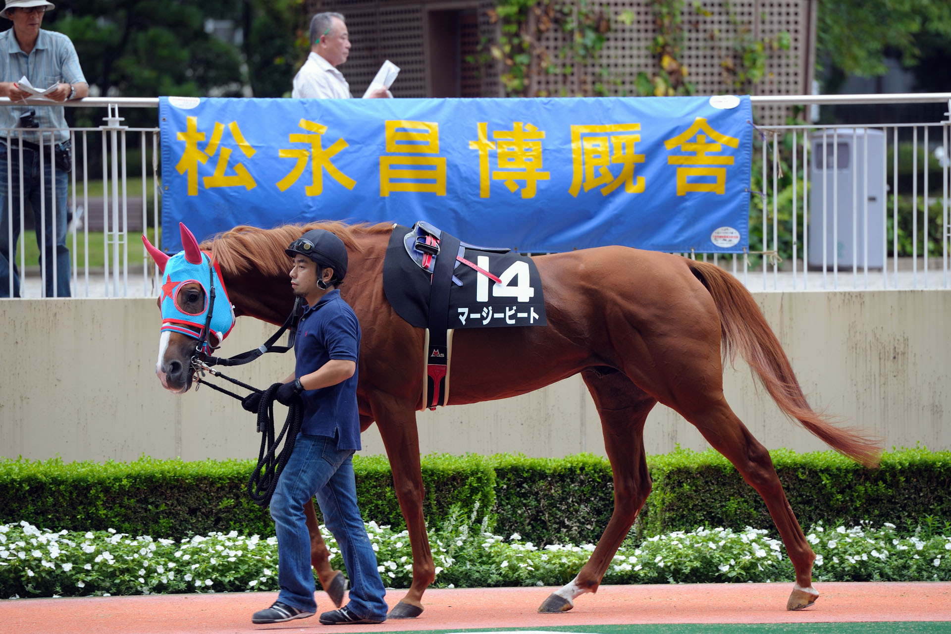 マージービート（20110904小倉9R鳥栖特別）_a0124367_20131347.jpg